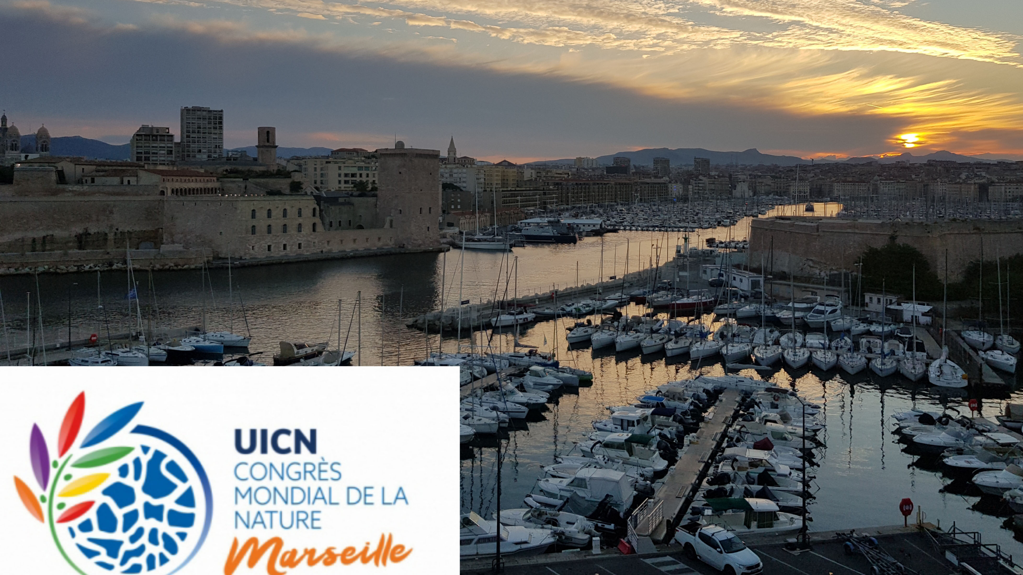 Congrès Mondial de la Nature