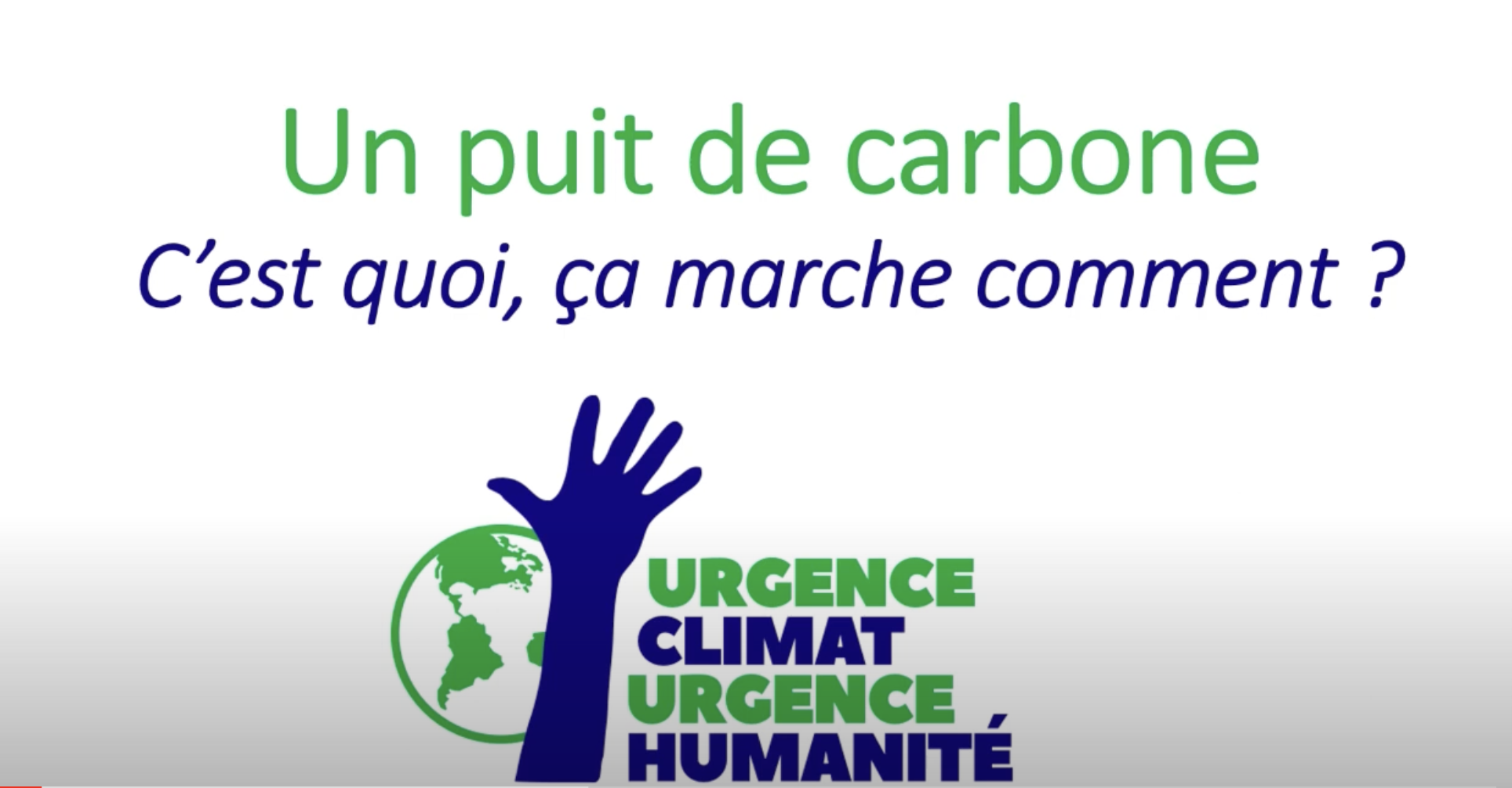 Un puit de carbone c'est quoi, ça fonctionne comment ?